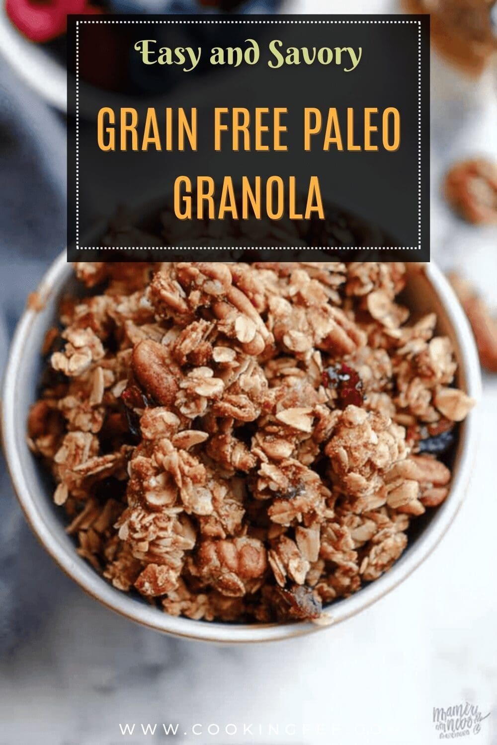 Simple Grain Free Granola Recipe With Nutritious Ingredients 7 Grain Free Paleo Granola