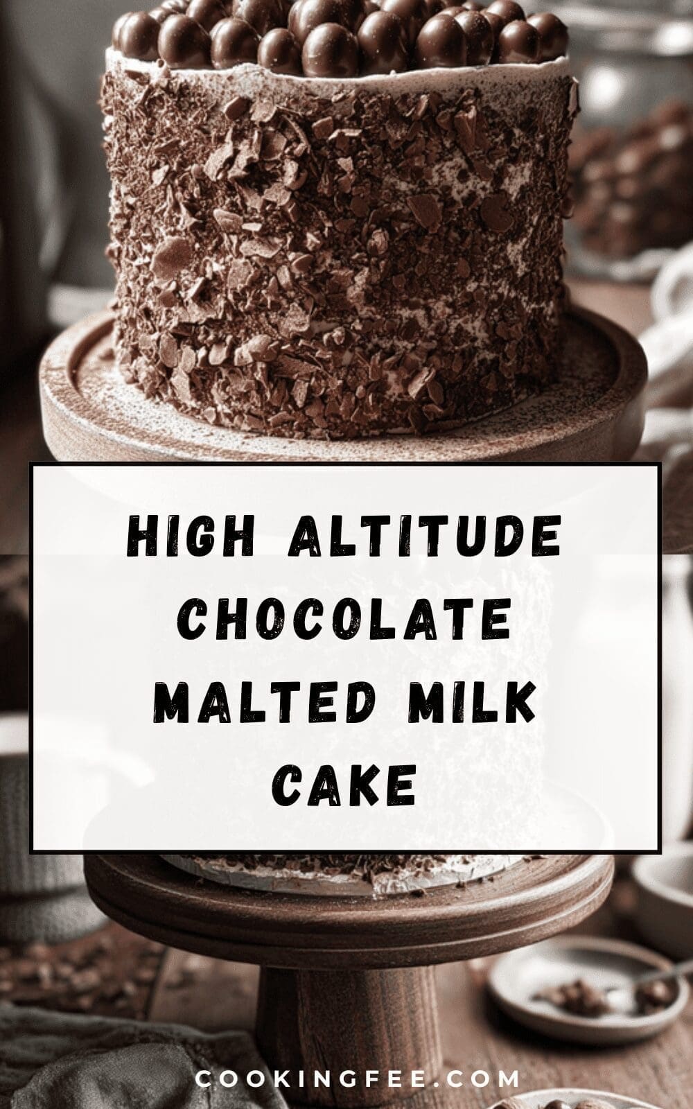 High Altitude Chocolate Malted Milk Cake