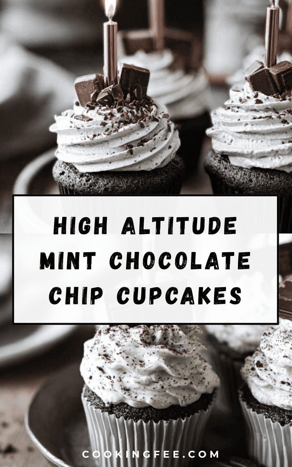 High Altitude Mint Chocolate Chip Cupcakes Recipe 6 High Altitude Mint Chocolate Chip Cupcakes