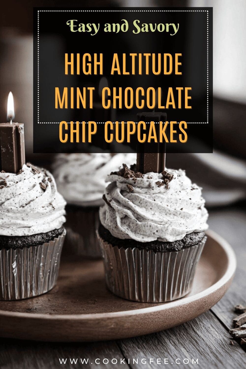 High Altitude Mint Chocolate Chip Cupcakes Recipe 7 High Altitude Mint Chocolate Chip Cupcakes