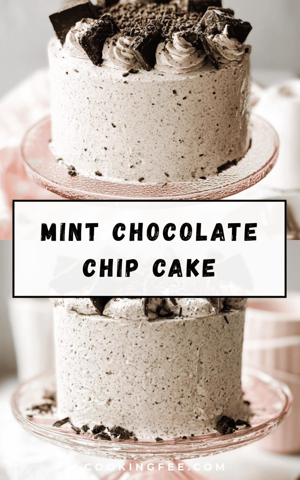 Mint Chocolate Chip Cake
