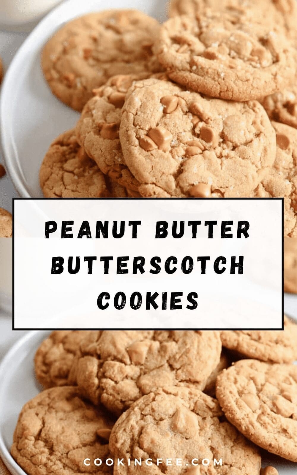 Peanut Butter Butterscotch Cookies