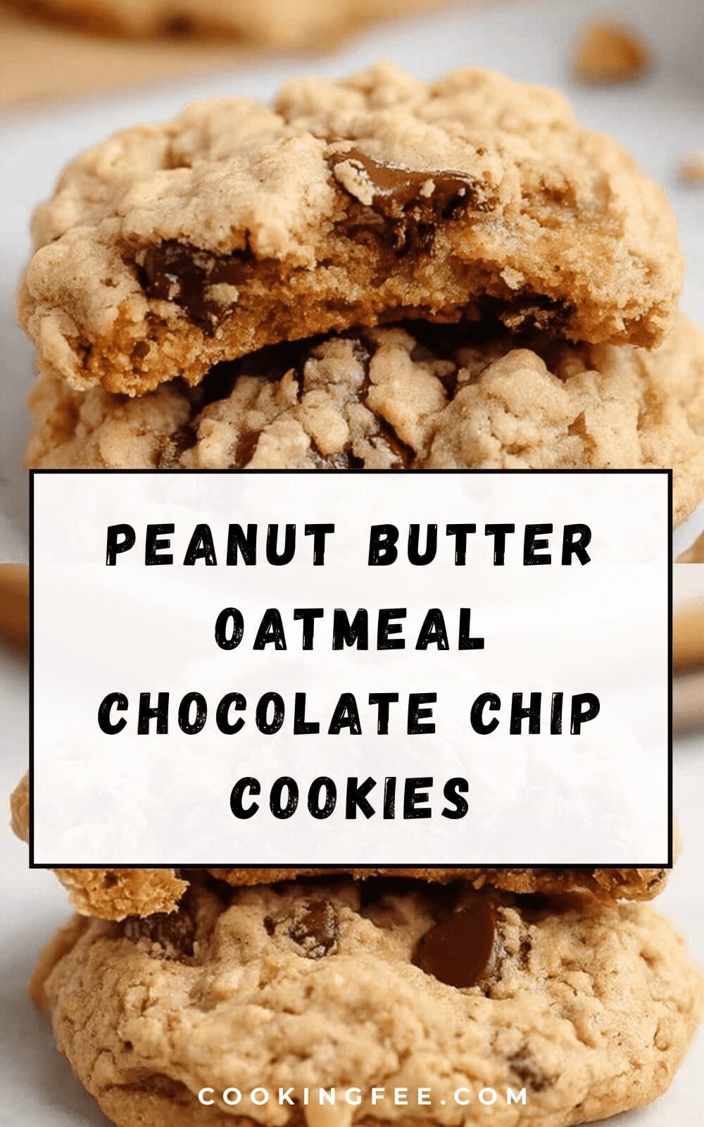 Big Fat Peanut Butter Oatmeal Chocolate Chip Cookies Recipe 6 Peanut Butter Oatmeal Chocolate Chip Cookies