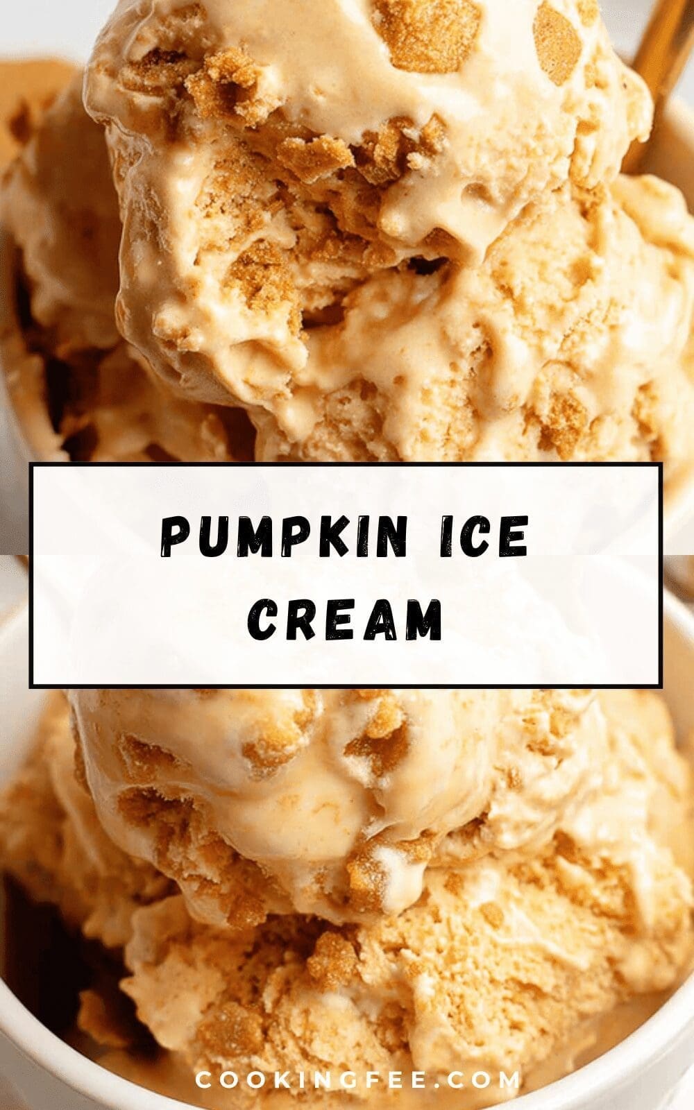 Pumpkin Ice Cream