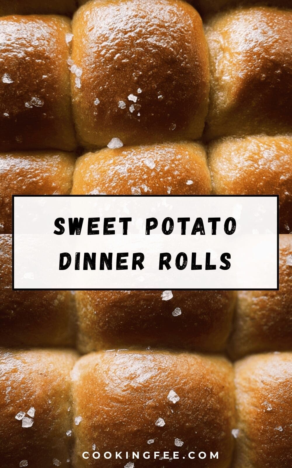 Soft Sweet Potato Rolls Recipe For Fluffy, Tender Homemade Bread 6 Sweet Potato Dinner Rolls