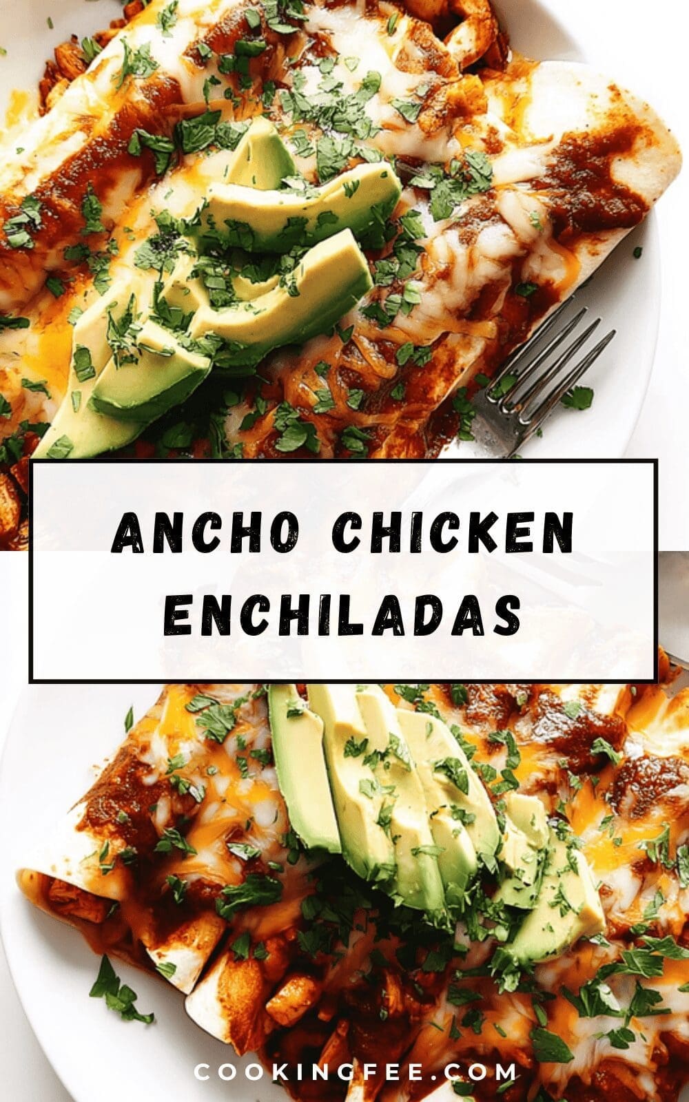 Ancho Chicken Enchiladas
