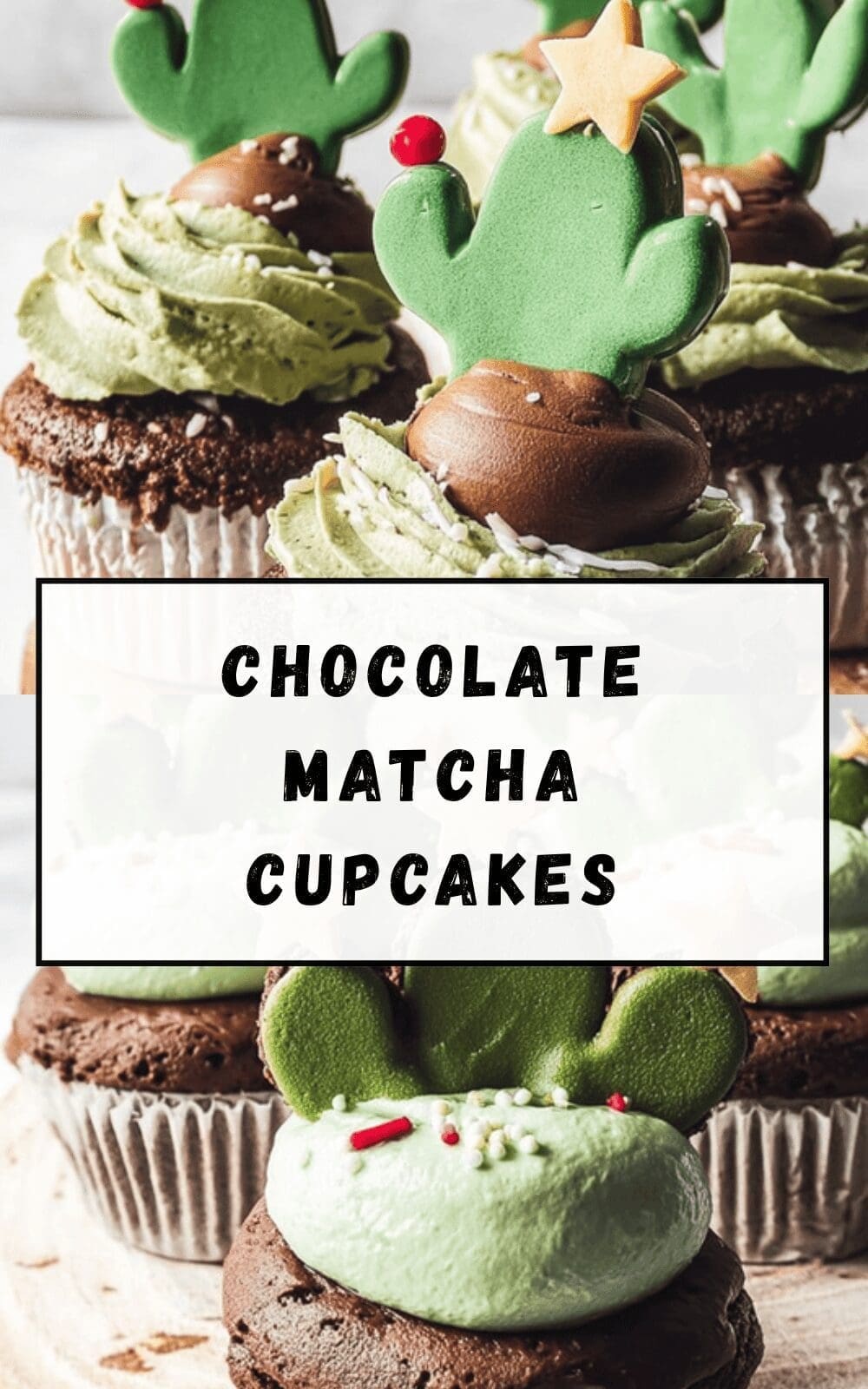 Chocolate Matcha Cupcakes