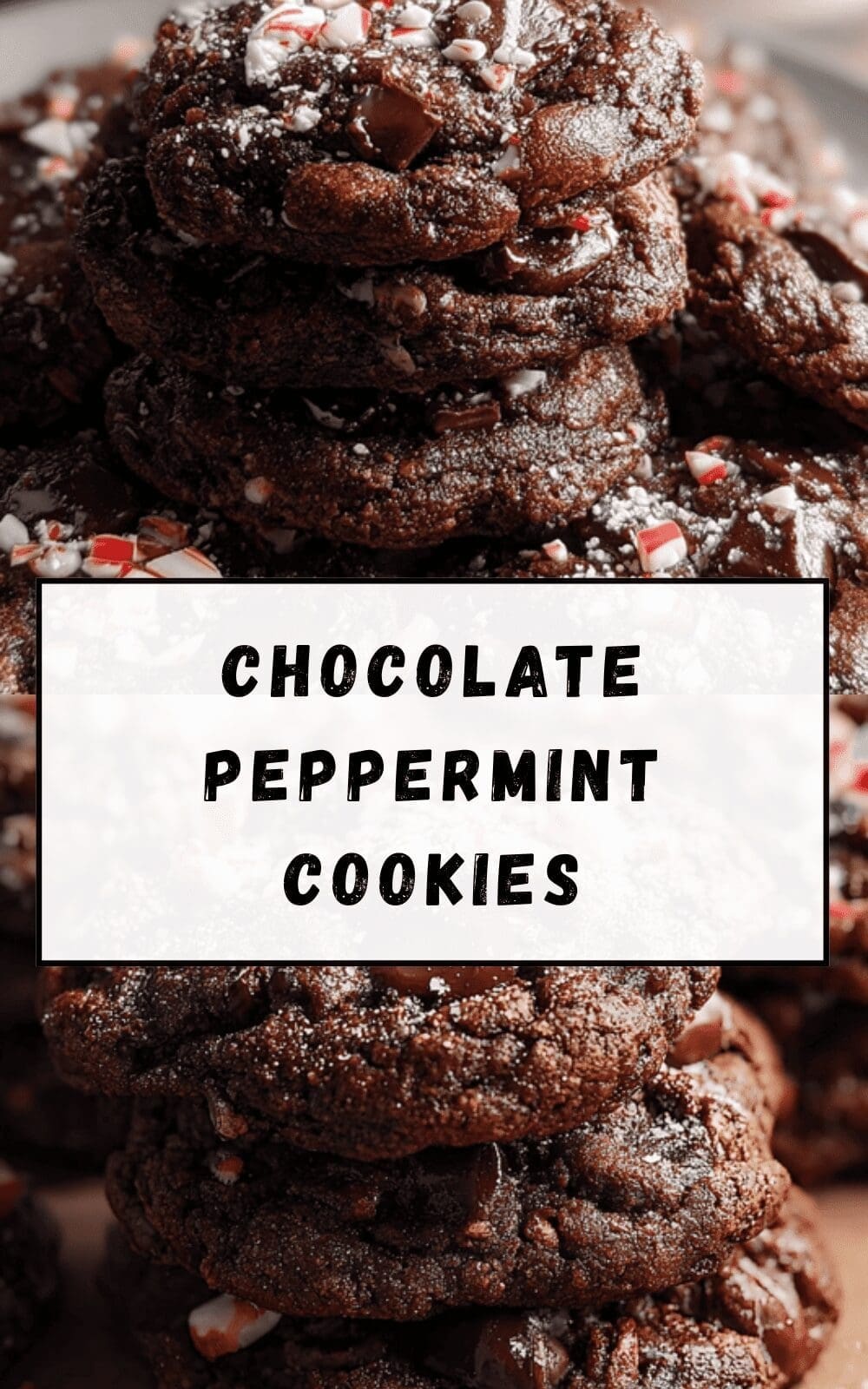 Chocolate Peppermint Cookies