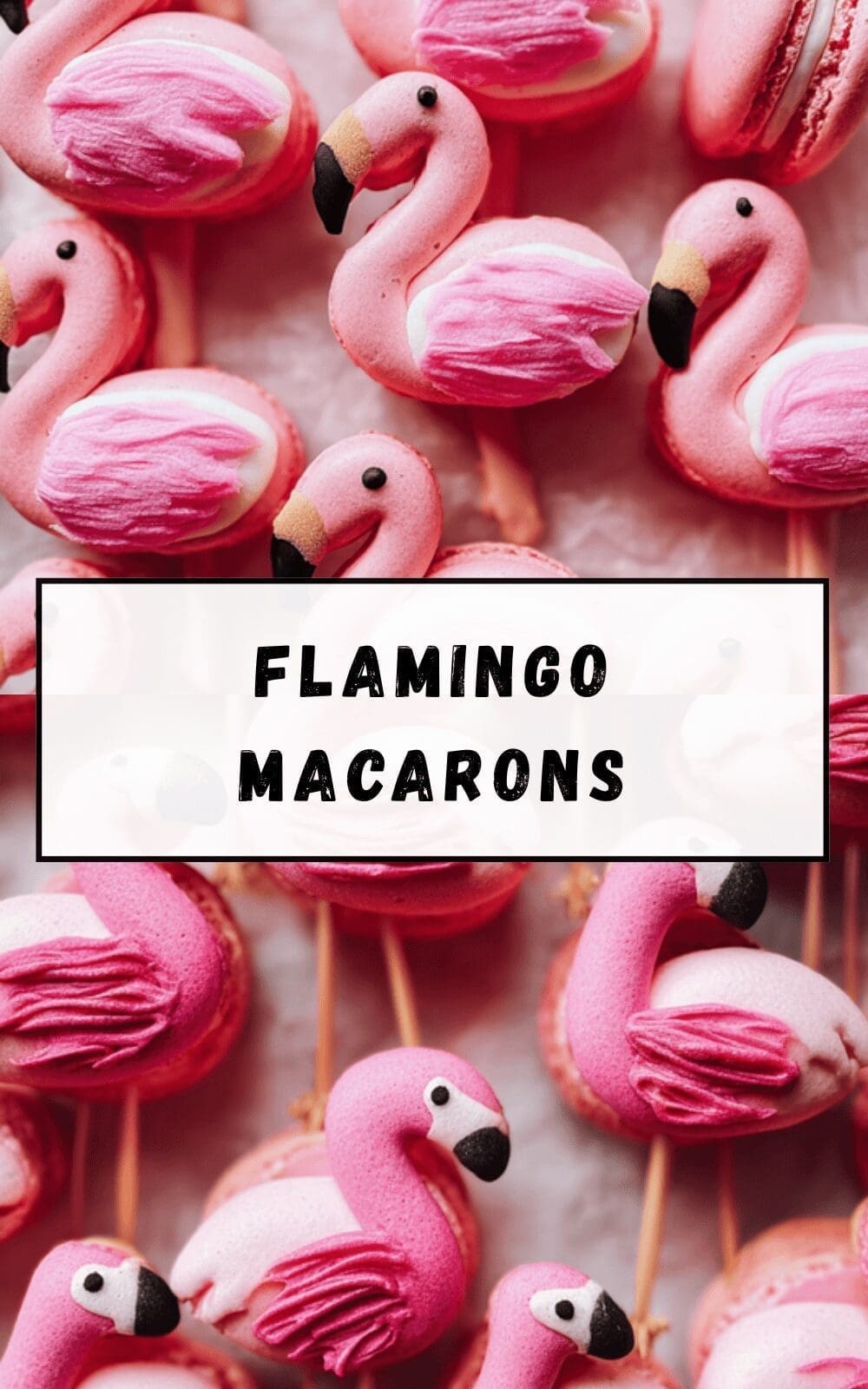 Flamingo Macarons