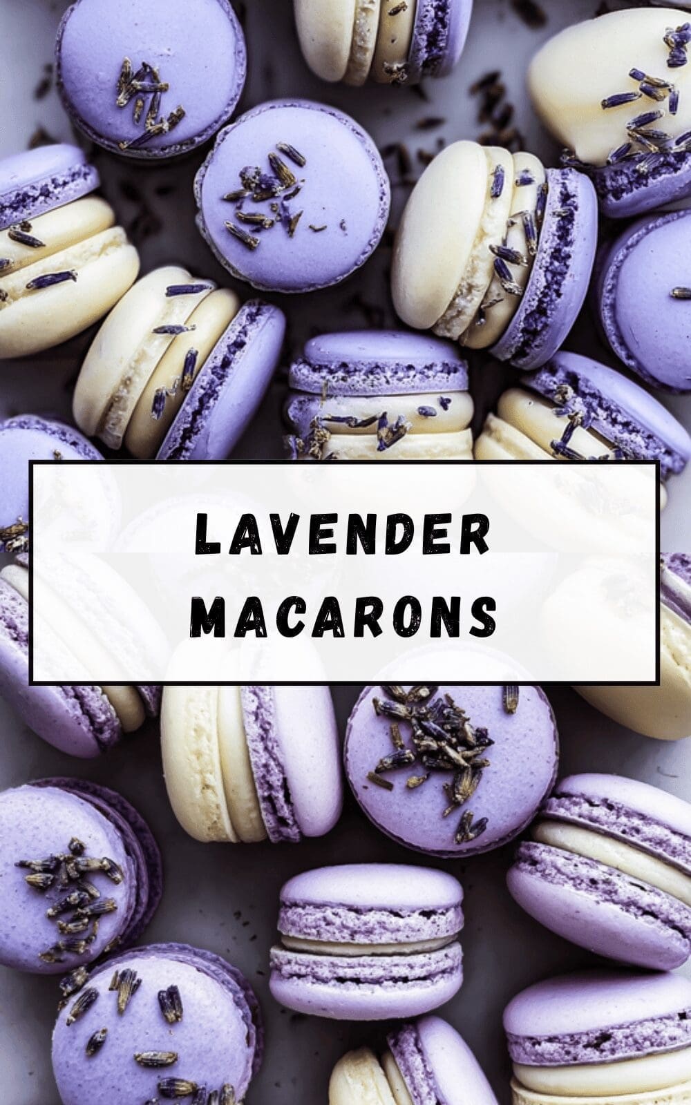 Lavender Macarons