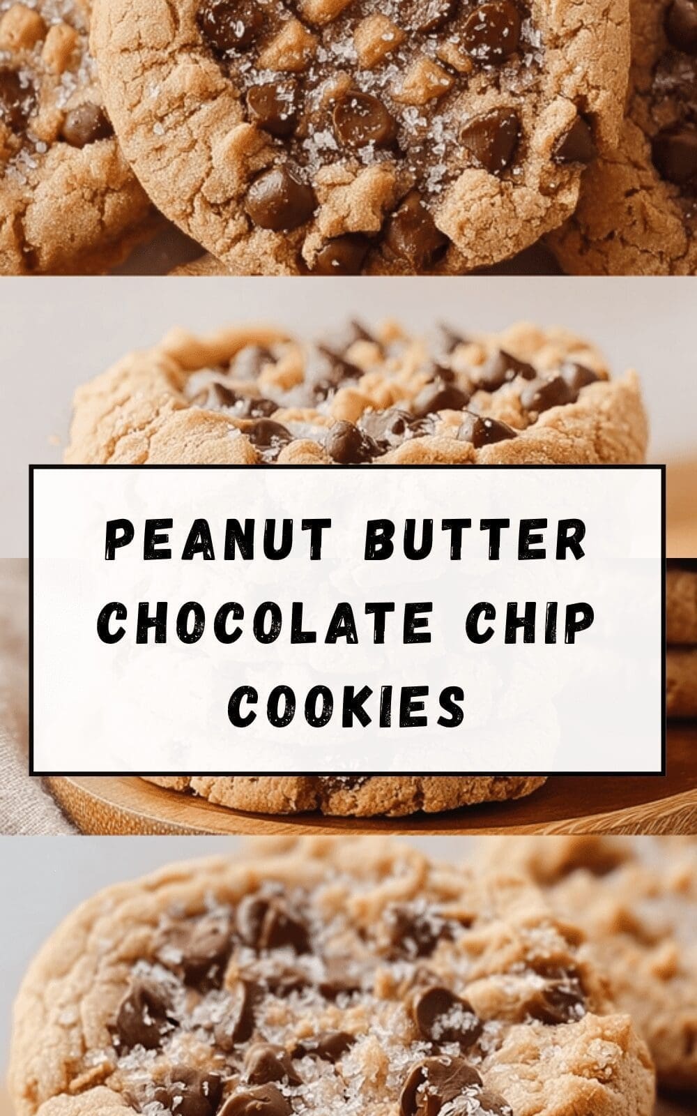 Bakery Style Peanut Butter Chocolate Chip Cookies Recipe 6 Peanut Butter Chocolate Chip Cookies