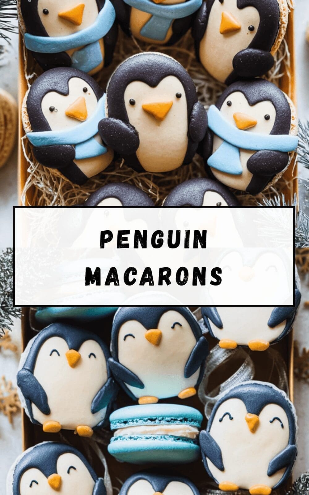 Penguin Macarons