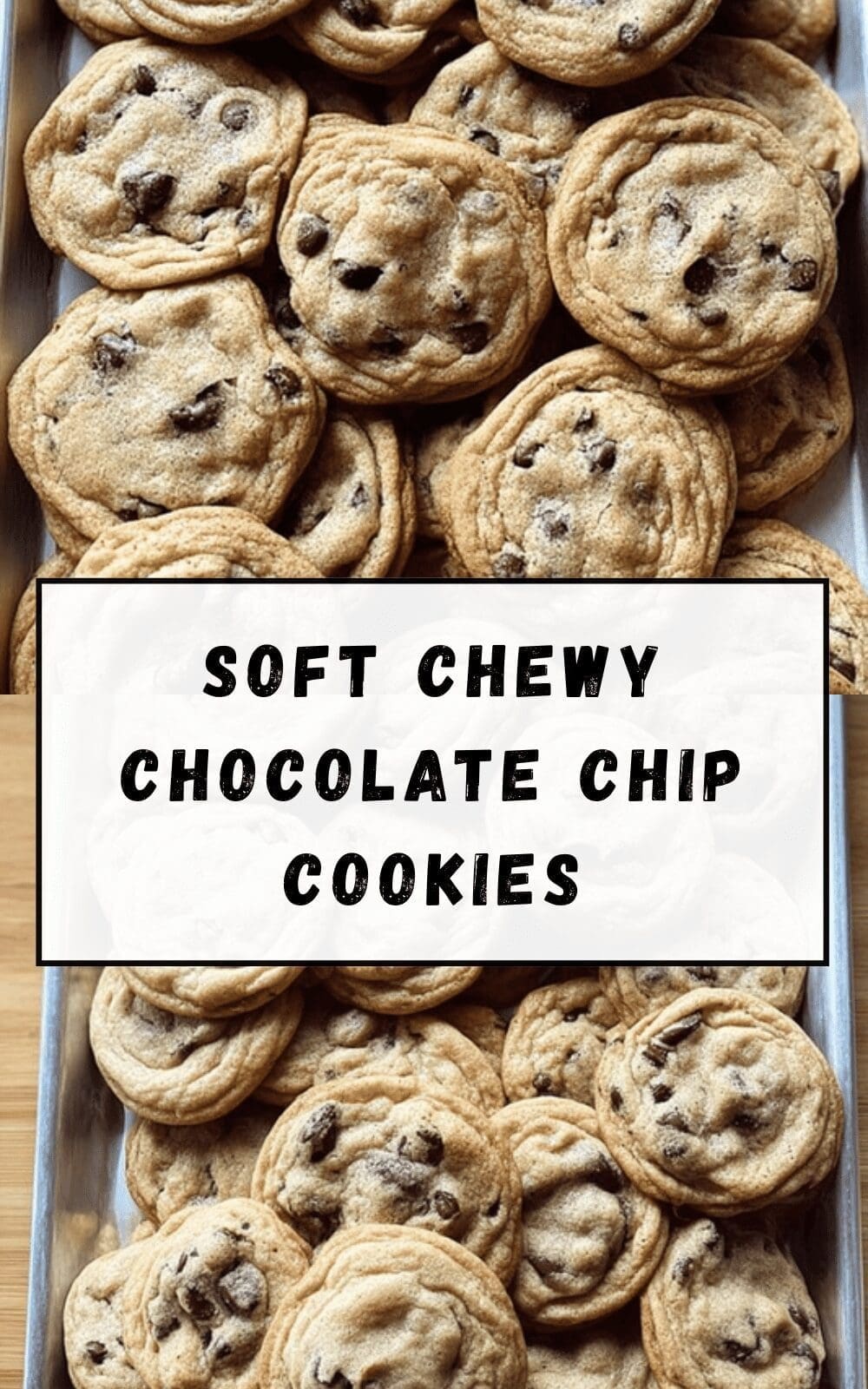 Soft Chewy Chocolate Chip Cookies