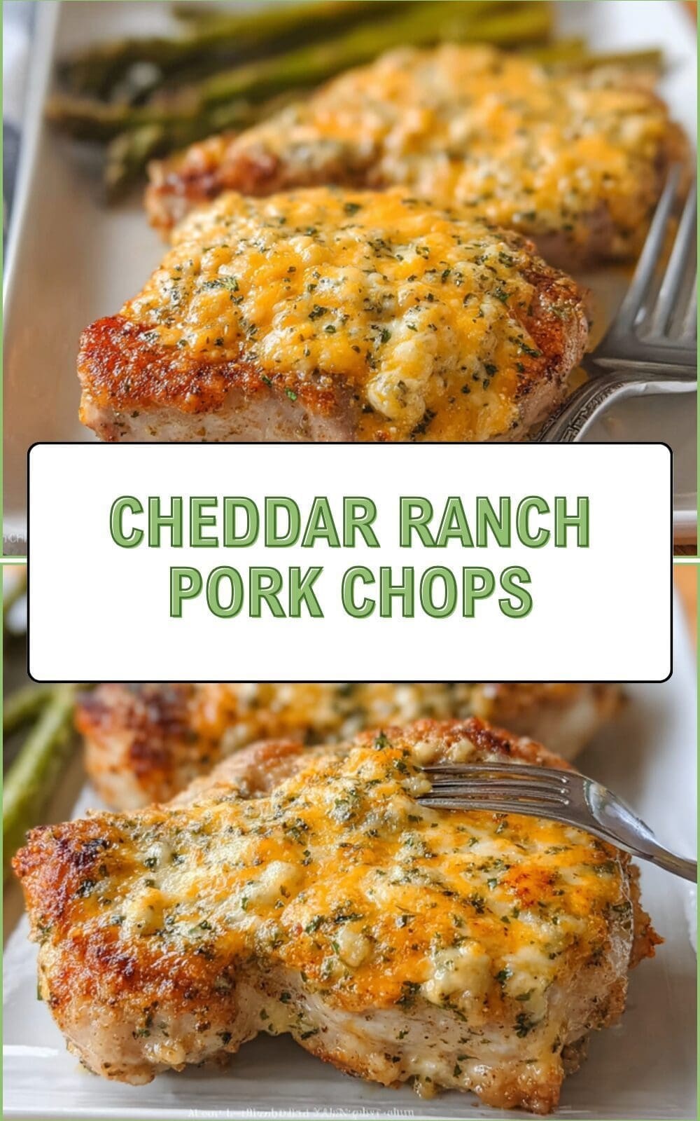 Cheddar Ranch Pork Chops Recipe With Creamy Cheese And Herb Sauce 7 Cheddar Ranch Pork Chops