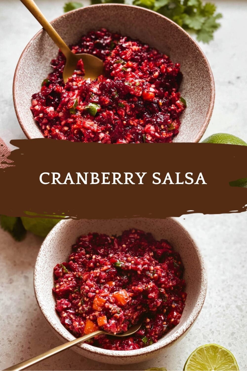 Cranberry Salsa Recipes For Fresh And Flavorful Homemade Dips 7 Cranberry Salsa