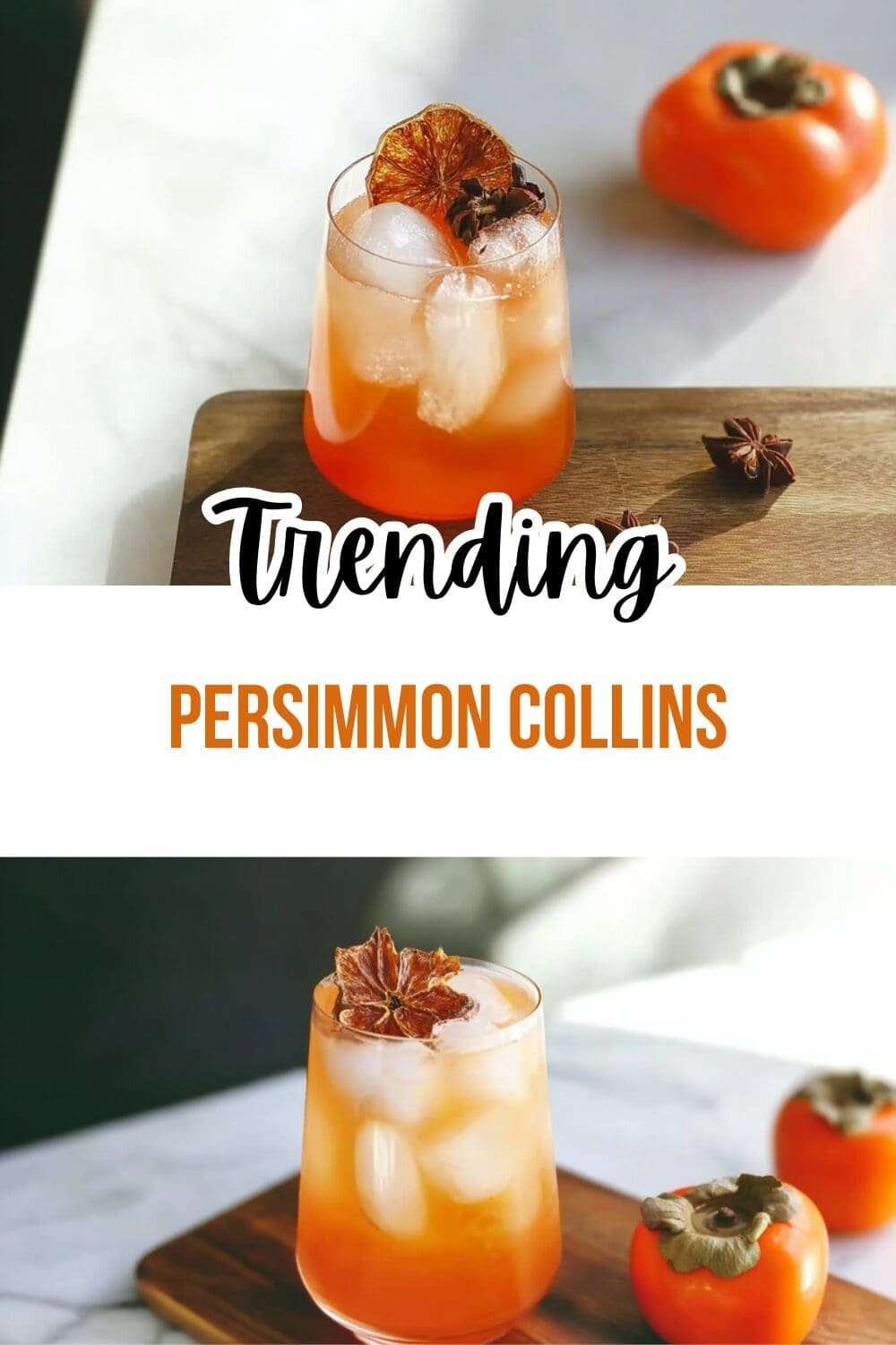 Persimmon Collins
