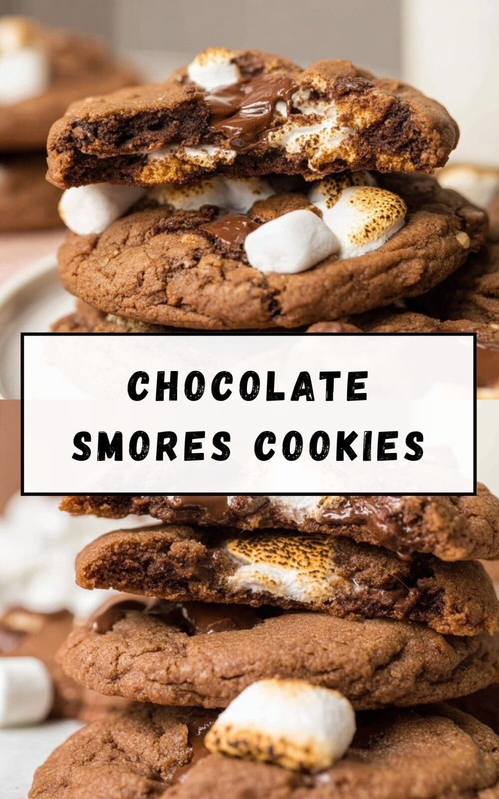 Chocolate S'Mores Cookies Gooey Marshmallow Graham Treats 7 Chocolate Smores Cookies