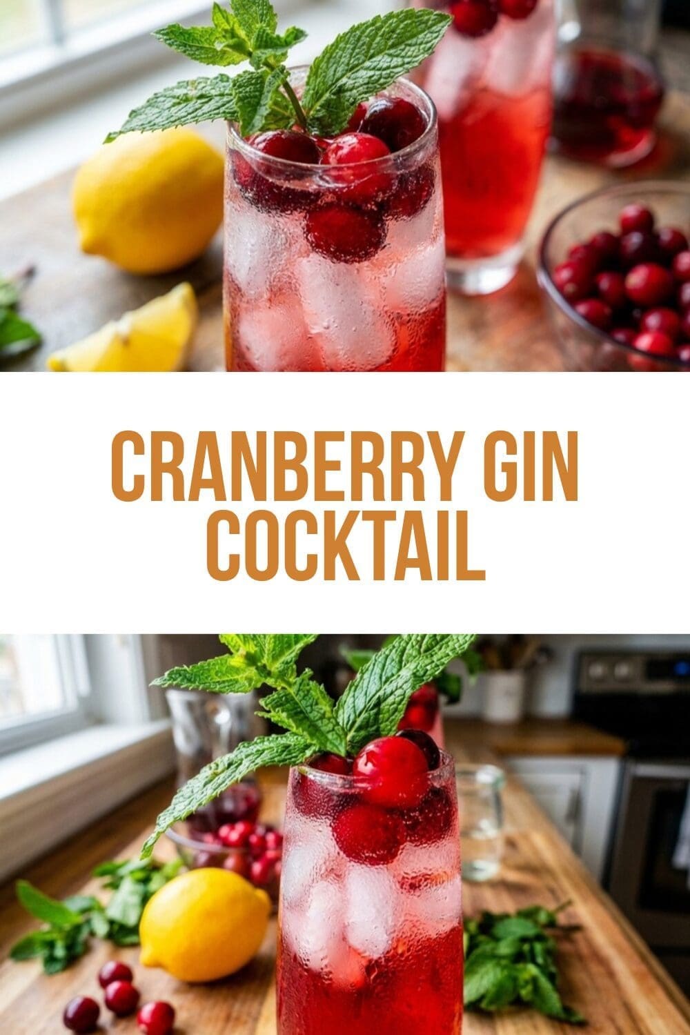 Cranberry Gin Cocktail Recipe 4 Cranberry Gin Cocktail