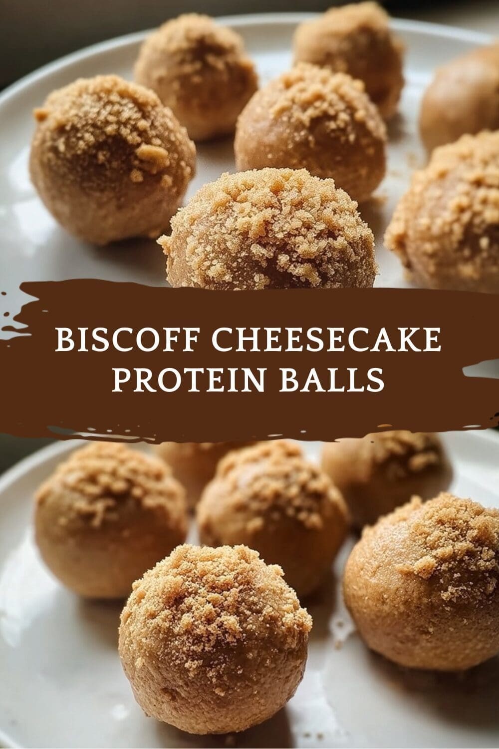 Easy No Bake Biscoff Protein Balls Recipe 7 Biscoff Cheesecake Protein Balls
