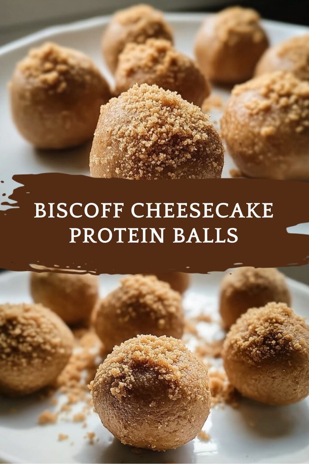 Easy No Bake Biscoff Protein Balls Recipe 7 Biscoff Cheesecake Protein Balls