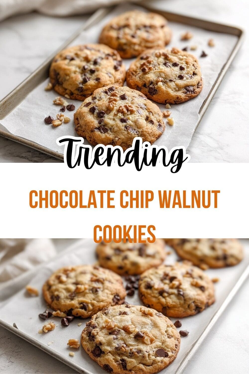 Chocolate Chip Walnut Cookies